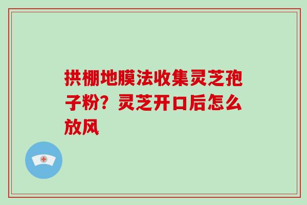 拱棚地膜法收集灵芝孢子粉？灵芝开口后怎么放风