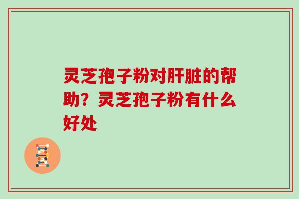 灵芝孢子粉对肝脏的帮助？灵芝孢子粉有什么好处