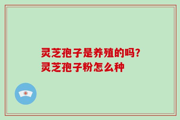 灵芝孢子是养殖的吗？灵芝孢子粉怎么种