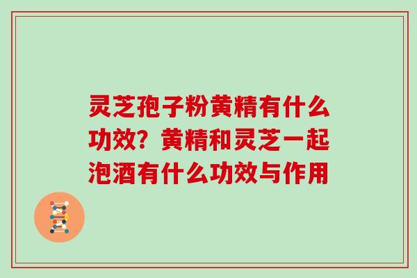 灵芝孢子粉黄精有什么功效？黄精和灵芝一起泡酒有什么功效与作用-第1张图片-灵芝大师