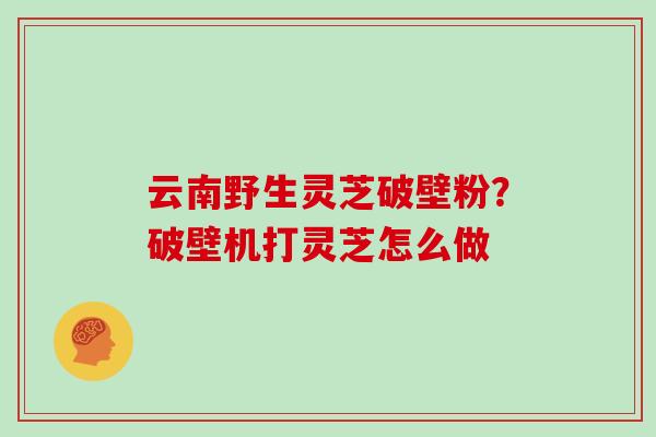 云南野生灵芝破壁粉？破壁机打灵芝怎么做