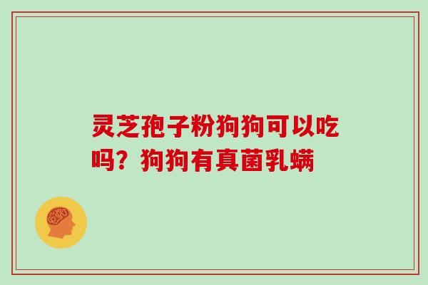 灵芝孢子粉狗狗可以吃吗？狗狗有真菌乳螨