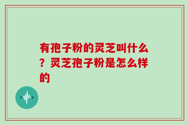 有孢子粉的灵芝叫什么？灵芝孢子粉是怎么样的