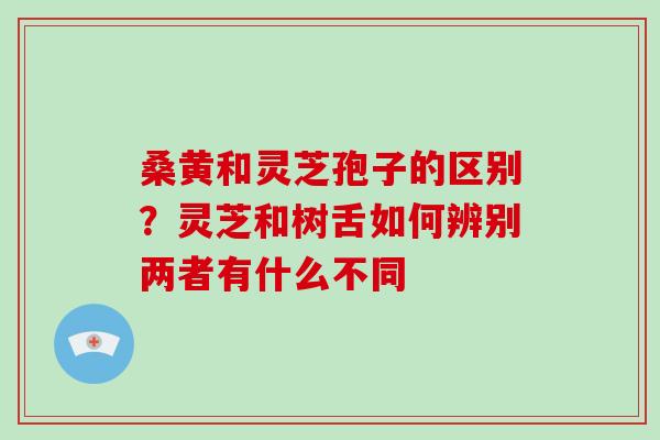 桑黄和灵芝孢子的区别？灵芝和树舌如何辨别两者有什么不同