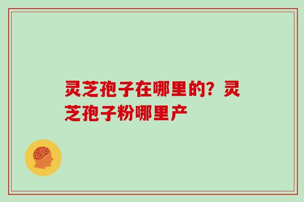 灵芝孢子在哪里的？灵芝孢子粉哪里产
