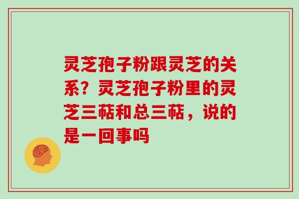 灵芝孢子粉跟灵芝的关系？灵芝孢子粉里的灵芝三萜和总三萜，说的是一回事吗