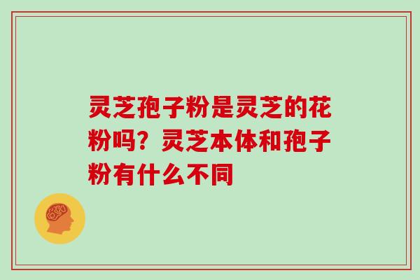 灵芝孢子粉是灵芝的花粉吗？灵芝本体和孢子粉有什么不同
