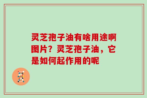 灵芝孢子油有啥用途啊图片？灵芝孢子油，它是如何起作用的呢