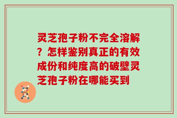 灵芝孢子粉不完全溶解？怎样鉴别真正的有效成份和纯度高的破壁灵芝孢子粉在哪能买到