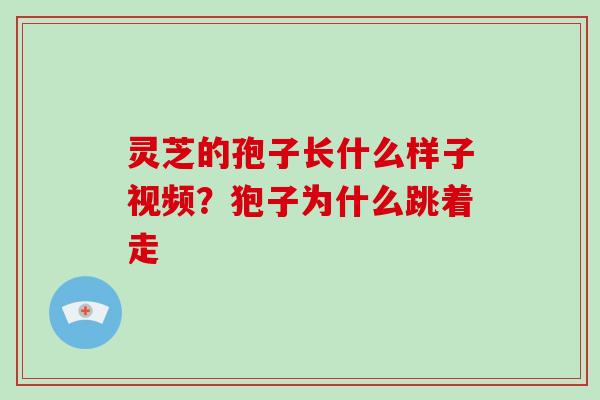 灵芝的孢子长什么样子视频？狍子为什么跳着走