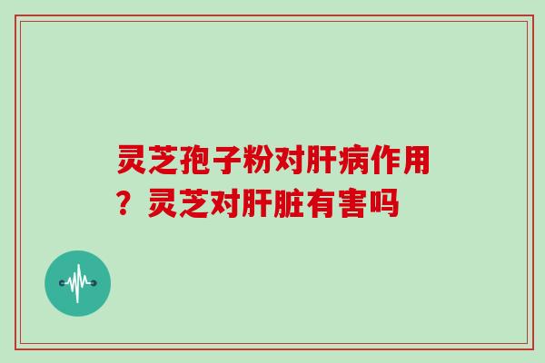 灵芝孢子粉对肝病作用？灵芝对肝脏有害吗