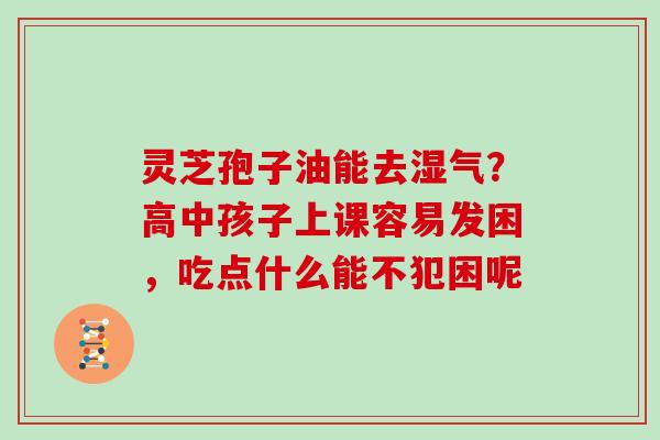 灵芝孢子油能去湿气？高中孩子上课容易发困，吃点什么能不犯困呢