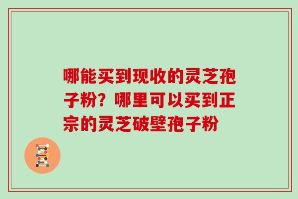 哪能买到现收的灵芝孢子粉？哪里可以买到正宗的灵芝破壁孢子粉