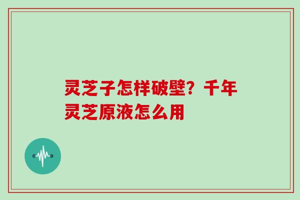 灵芝子怎样破壁？千年灵芝原液怎么用