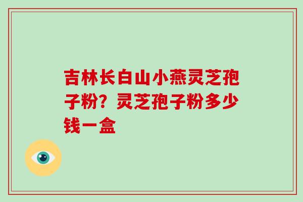 吉林长白山小燕灵芝孢子粉？灵芝孢子粉多少钱一盒