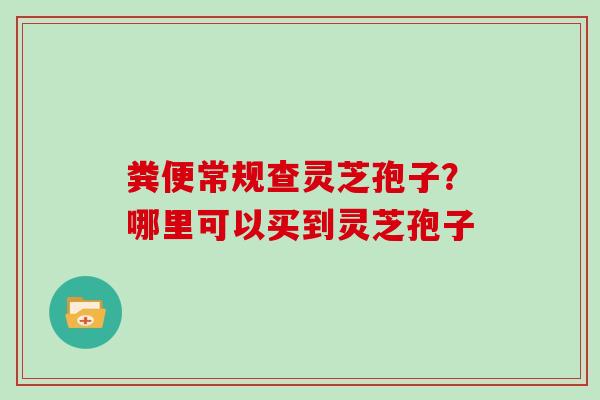 粪便常规查灵芝孢子？哪里可以买到灵芝孢子