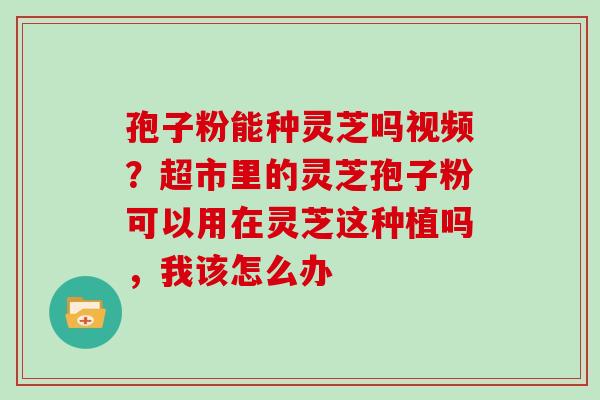 孢子粉能种灵芝吗视频？超市里的灵芝孢子粉可以用在灵芝这种植吗，我该怎么办
