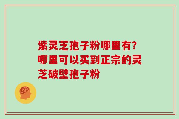 紫灵芝孢子粉哪里有？哪里可以买到正宗的灵芝破壁孢子粉