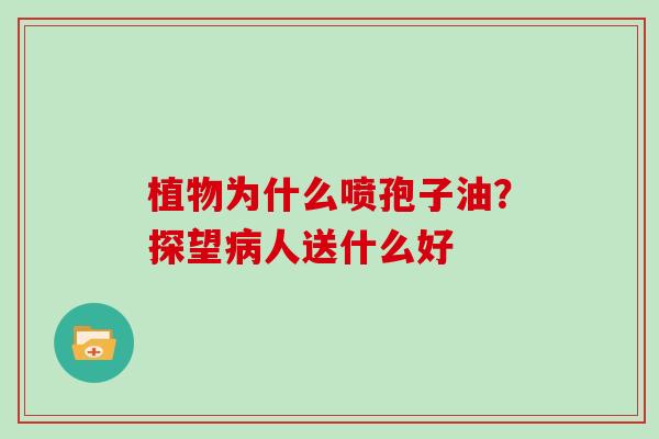 植物为什么喷孢子油？探望病人送什么好-第1张图片-灵芝大师
