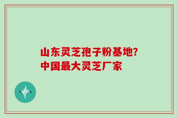 山东灵芝孢子粉基地？中国最大灵芝厂家