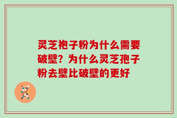 灵芝袍子粉为什么需要破壁？为什么灵芝孢子粉去壁比破壁的更好