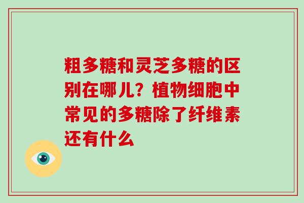 粗多糖和灵芝多糖的区别在哪儿?植物细胞中常见的多糖除了纤维素还有什么-第1张图片-灵芝大师 粗多糖和灵芝多糖的区别在哪儿?植物细胞中常见的多糖除了纤维素还有什么-第1张图片-灵芝大师