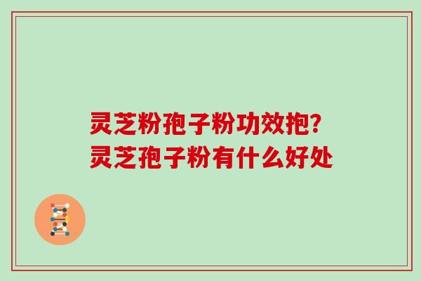 灵芝粉孢子粉功效抱？灵芝孢子粉有什么好处