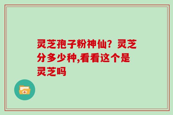灵芝孢子粉神仙？灵芝分多少种,看看这个是灵芝吗