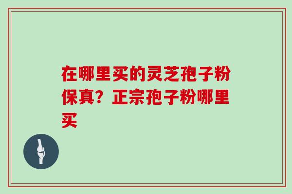 在哪里买的灵芝孢子粉保真？正宗孢子粉哪里买