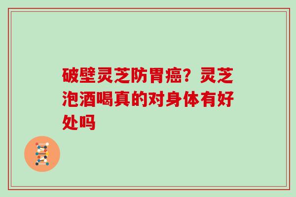 破壁灵芝防胃癌？灵芝泡酒喝真的对身体有好处吗