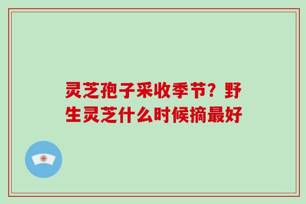 灵芝孢子采收季节？野生灵芝什么时候摘最好