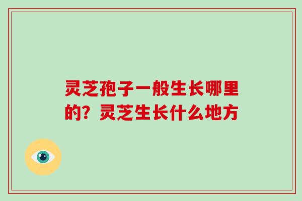 灵芝孢子一般生长哪里的？灵芝生长什么地方