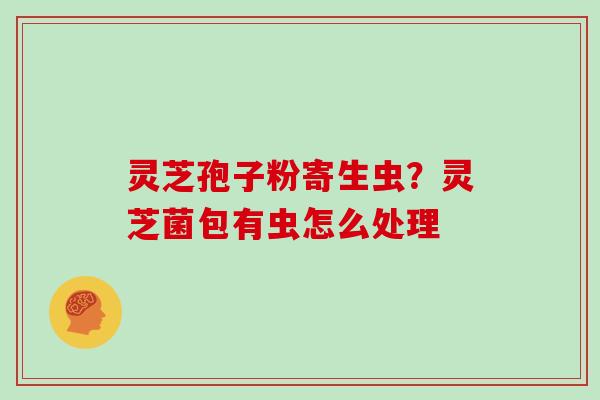 灵芝孢子粉寄生虫？灵芝菌包有虫怎么处理