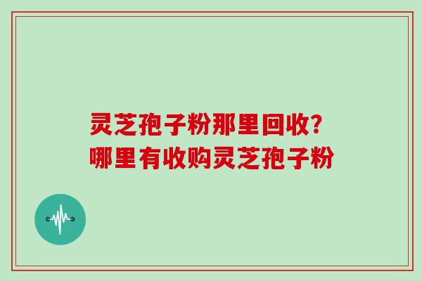 灵芝孢子粉那里回收？哪里有收购灵芝孢子粉