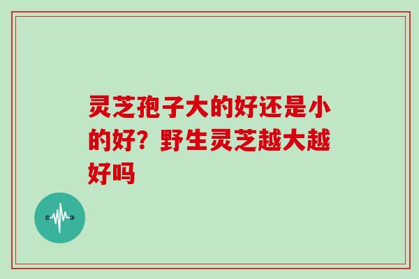 灵芝孢子大的好还是小的好？野生灵芝越大越好吗