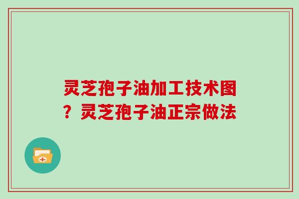 灵芝孢子油加工技术图？灵芝孢子油正宗做法
