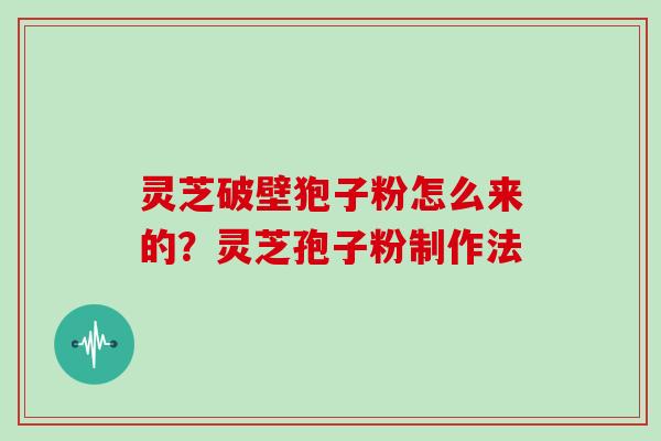 灵芝破壁狍子粉怎么来的？灵芝孢子粉制作法