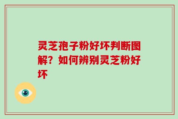 灵芝孢子粉好坏判断图解？如何辨别灵芝粉好坏