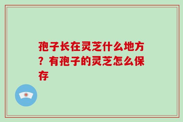 孢子长在灵芝什么地方？有孢子的灵芝怎么保存
