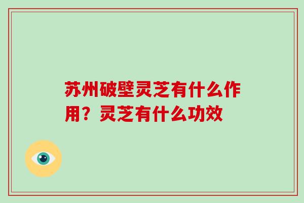 苏州破壁灵芝有什么作用？灵芝有什么功效