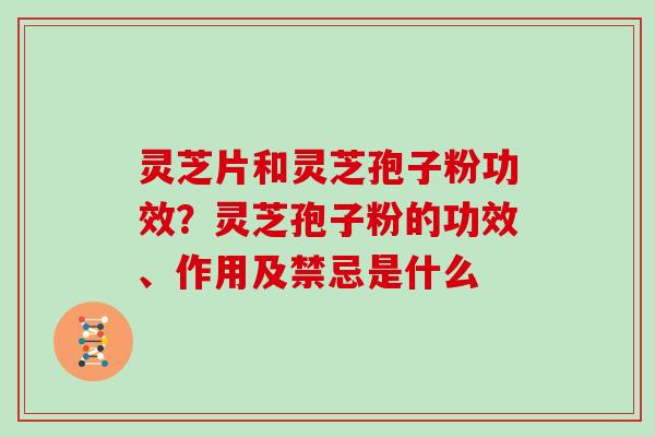 灵芝片和灵芝孢子粉功效？灵芝孢子粉的功效、作用及禁忌是什么
