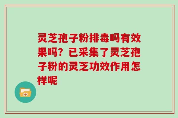 灵芝孢子粉排毒吗有效果吗？已采集了灵芝孢子粉的灵芝功效作用怎样呢