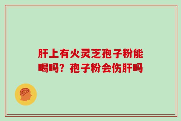 肝上有火灵芝孢子粉能喝吗？孢子粉会伤肝吗