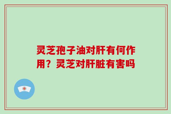 灵芝孢子油对肝有何作用？灵芝对肝脏有害吗