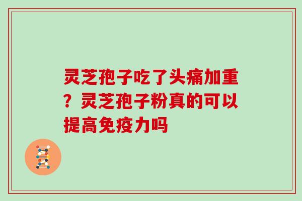 灵芝孢子吃了头痛加重？灵芝孢子粉真的可以提高免疫力吗