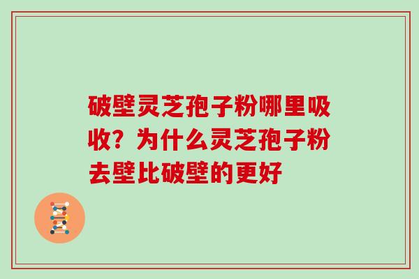 破壁灵芝孢子粉哪里吸收？为什么灵芝孢子粉去壁比破壁的更好