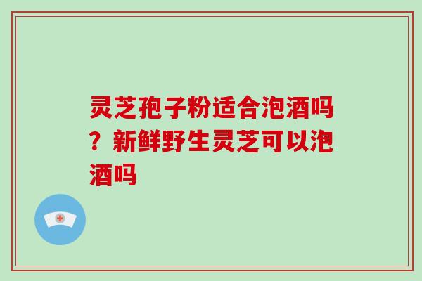 灵芝孢子粉适合泡酒吗？新鲜野生灵芝可以泡酒吗