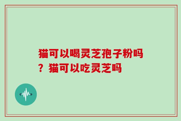 猫可以喝灵芝孢子粉吗？猫可以吃灵芝吗