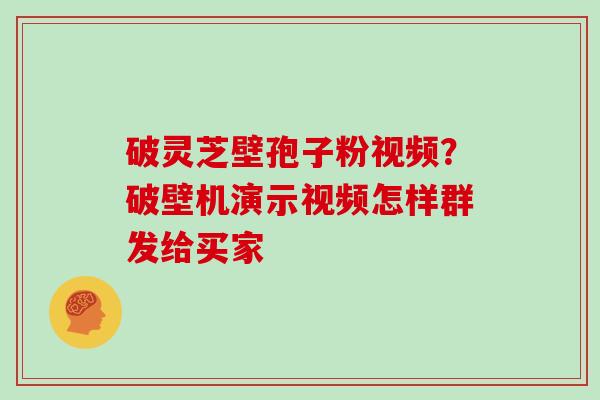 破灵芝壁孢子粉视频？破壁机演示视频怎样群发给买家