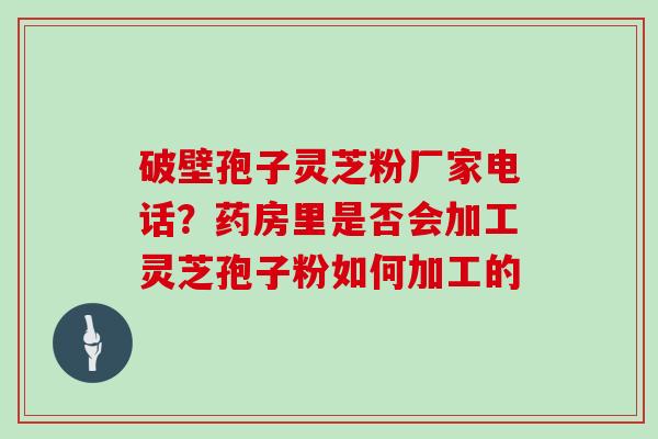 破壁孢子灵芝粉厂家电话？药房里是否会加工灵芝孢子粉如何加工的